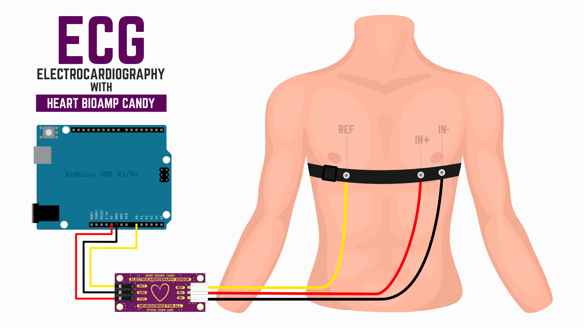 Menggunakan Heart BioAmp Candy untuk mengukur ECG dengan Heart BioAmp Band